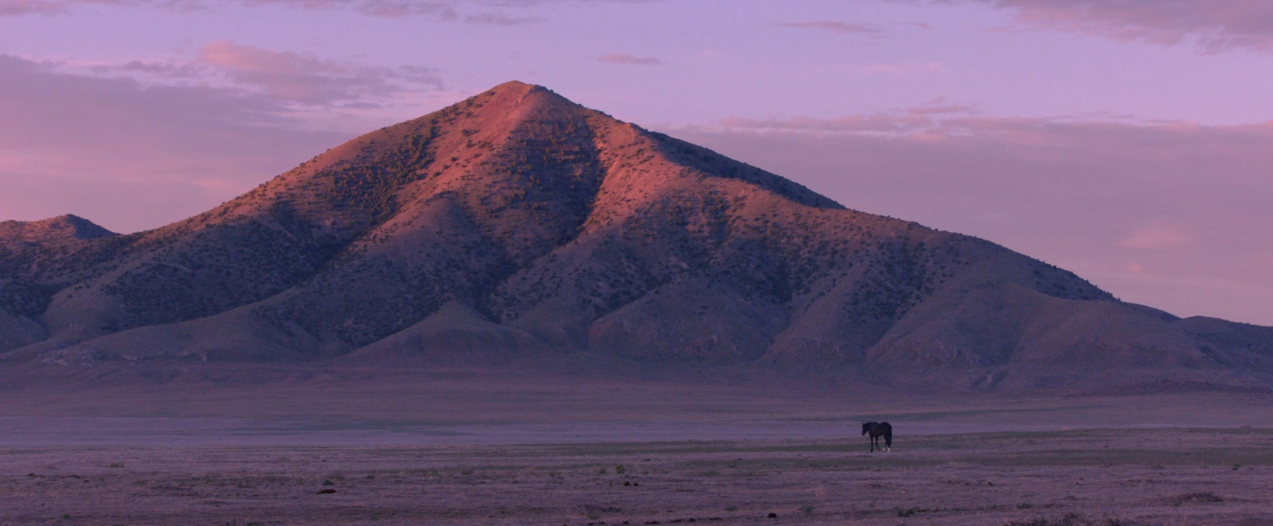 Wild Beauty — film still 2